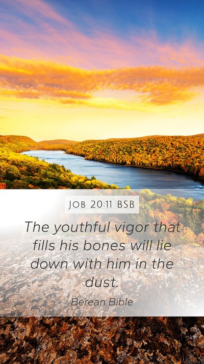 Job 20:11 BSB Bible Verse Image
