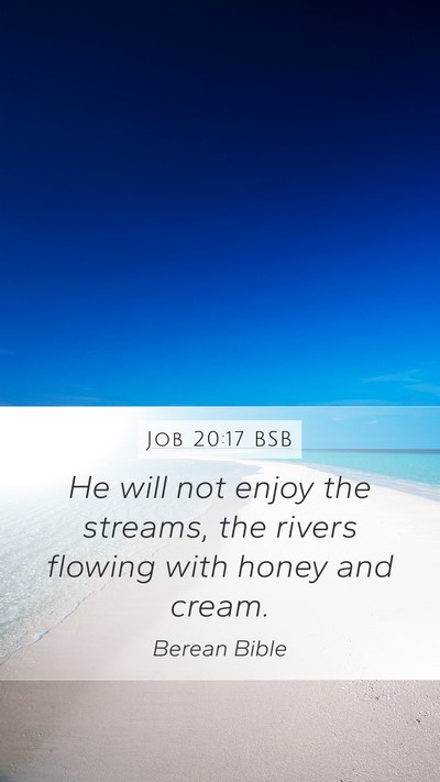 Job 20:17 BSB Bible Verse Image
