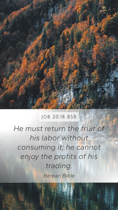 Job 20:18 BSB Bible Verse Image