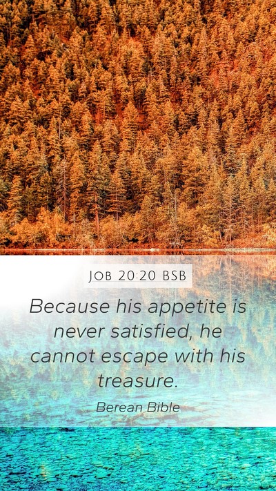 Job 20:20 BSB Bible Verse Image