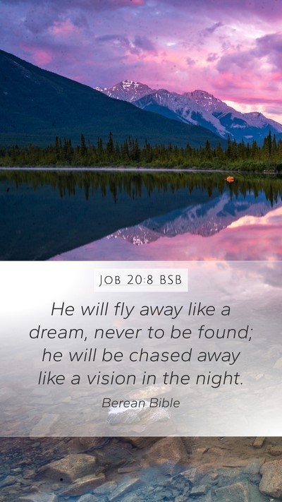 Job 20:8 BSB Bible Verse Image