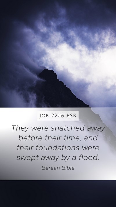 Job 22:16 BSB Bible Verse Image