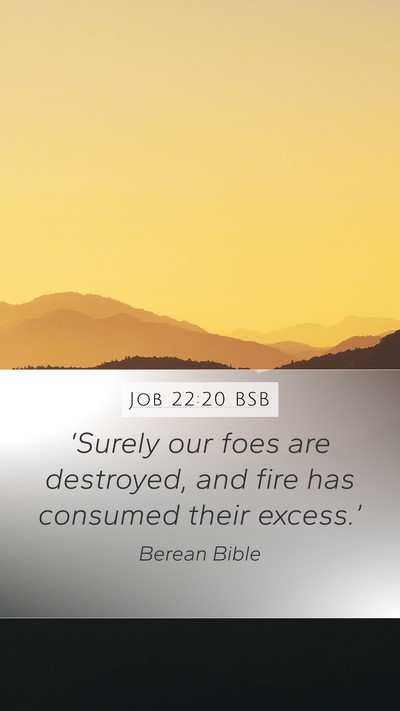 Job 22:20 BSB Bible Verse Image