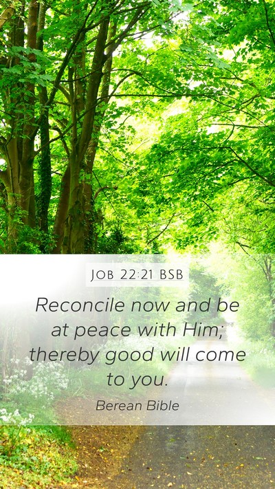 Job 22:21 BSB Bible Verse Image