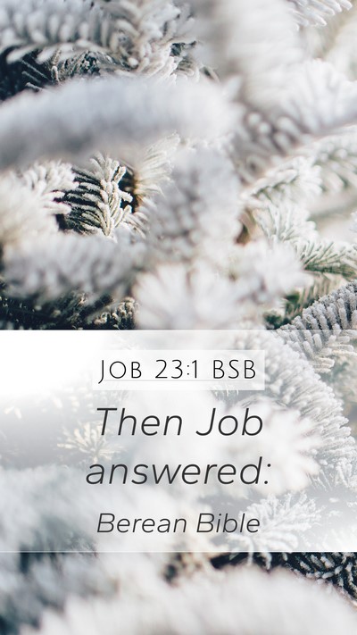 Job 23:1 BSB Mobile Phone Wallpaper - Then Job - Mobile Bible Verse Wallpaper