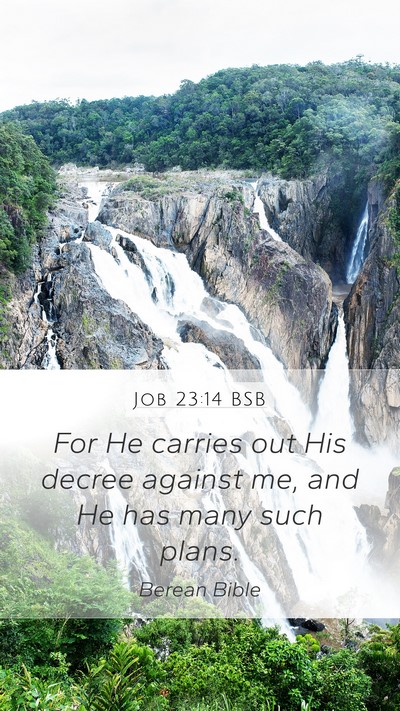 Job 23:14 BSB Mobile Phone Wallpaper - For He carries out His decree against me, and He - Mobile Bible Verse Wallpaper
