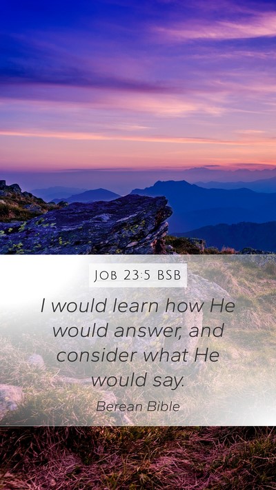Job 23:5 BSB Mobile Phone Wallpaper - I would learn how He would answer, and consider - Mobile Bible Verse Wallpaper