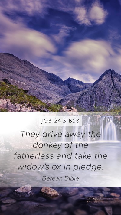 Job 24:3 BSB Bible Verse Image