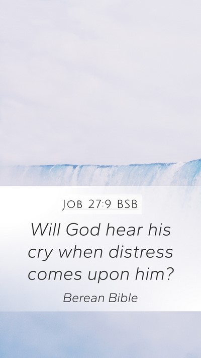 Job 27:9 BSB Bible Verse Image