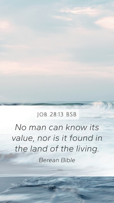 Job 28:13 BSB Bible Verse Image
