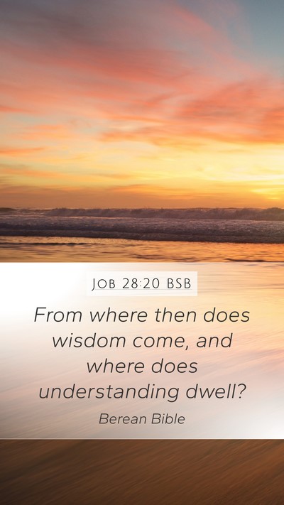 Job 28:20 BSB Bible Verse Image