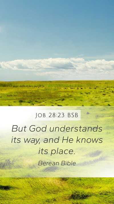Job 28:23 BSB Bible Verse Image