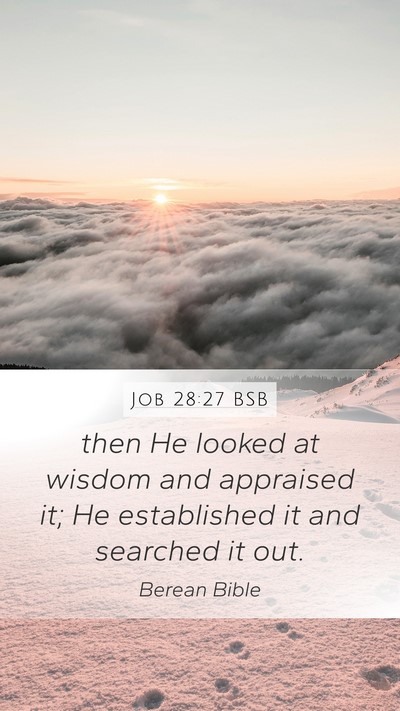 Job 28:27 BSB Mobile Phone Wallpaper - then He looked at wisdom and appraised it; He - Mobile Bible Verse Wallpaper