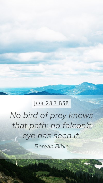 Job 28:7 BSB Bible Verse Image