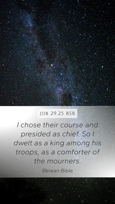 Job 29:25 BSB Bible Verse Image