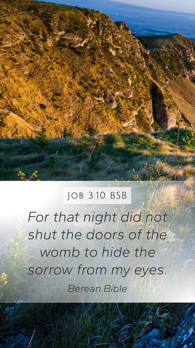Job 3:10 BSB Bible Verse Image