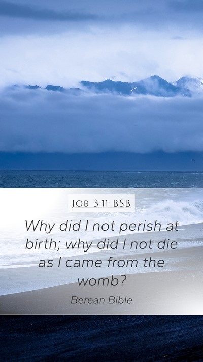 Job 3:11 BSB Bible Verse Image