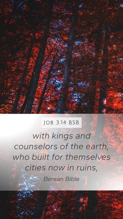 Job 3:14 BSB Bible Verse Image