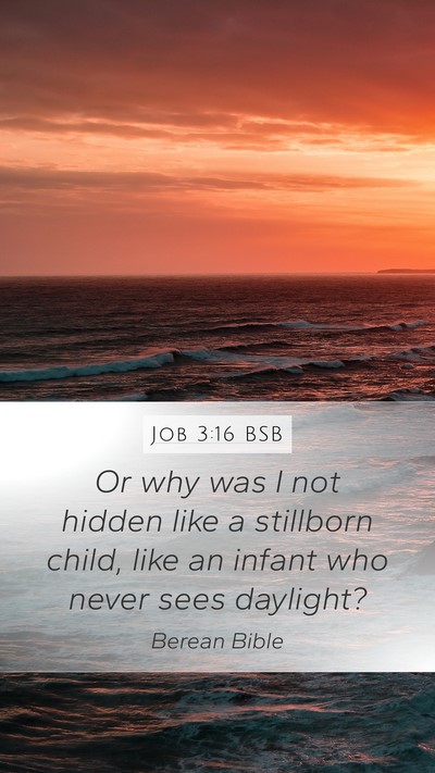 Job 3:16 BSB Bible Verse Image