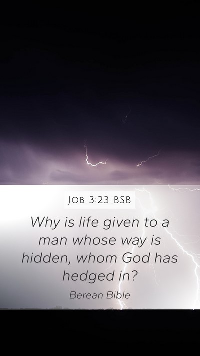 Job 3:23 BSB Bible Verse Image