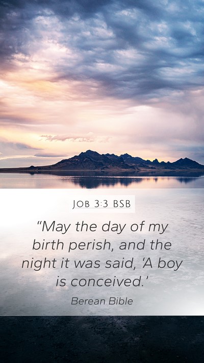 Job 3:3 BSB Bible Verse Image