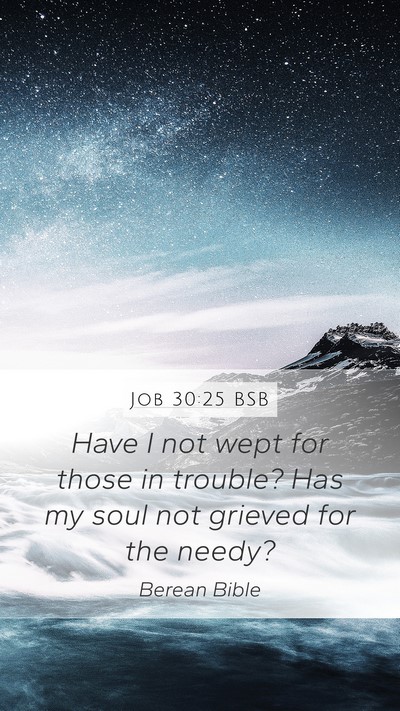 Job 30:25 BSB Bible Verse Image