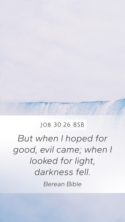 Job 30:26 BSB Bible Verse Image