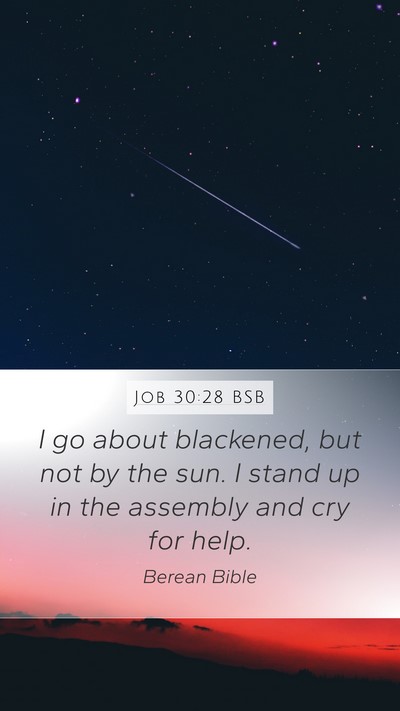 Job 30:28 BSB Bible Verse Image