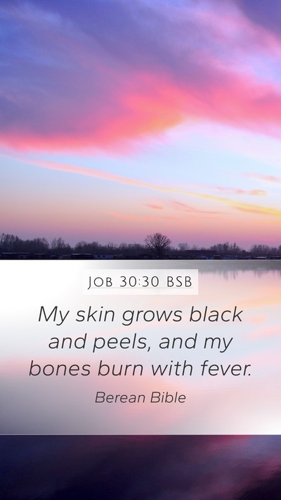 Job 30:30 BSB Bible Verse Image