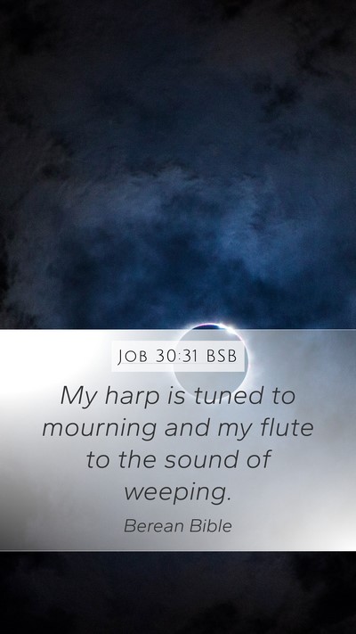 Job 30:31 BSB Mobile Phone Wallpaper - My harp is tuned to mourning and my flute to the - Mobile Bible Verse Wallpaper