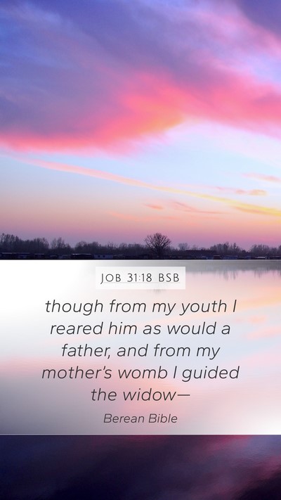 Job 31:18 BSB Bible Verse Image