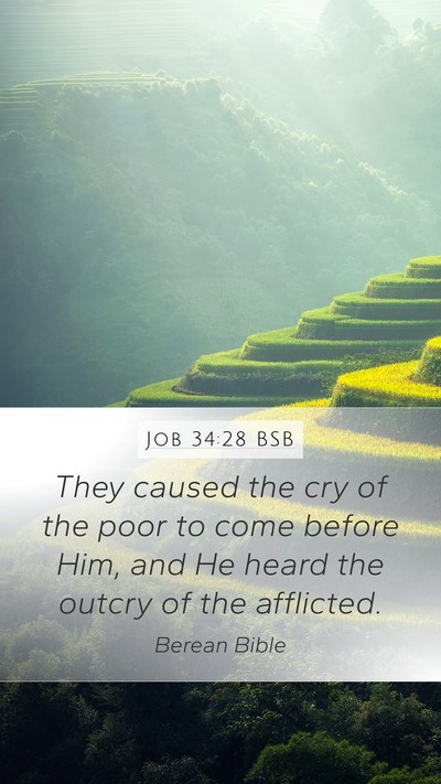 Job 34:28 BSB Bible Verse Image