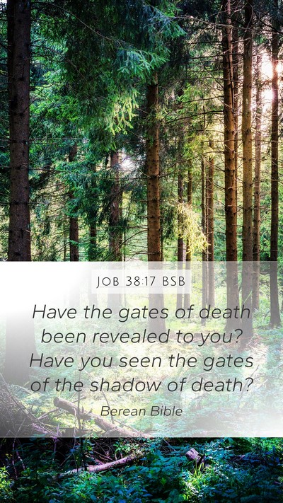 Job 38:17 BSB Bible Verse Image