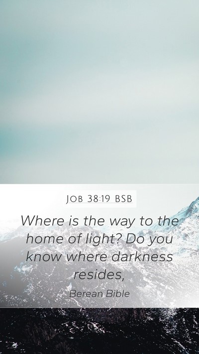 Job 38:19 BSB Bible Verse Image