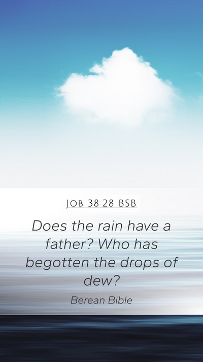 Job 38:28 BSB Bible Verse Image