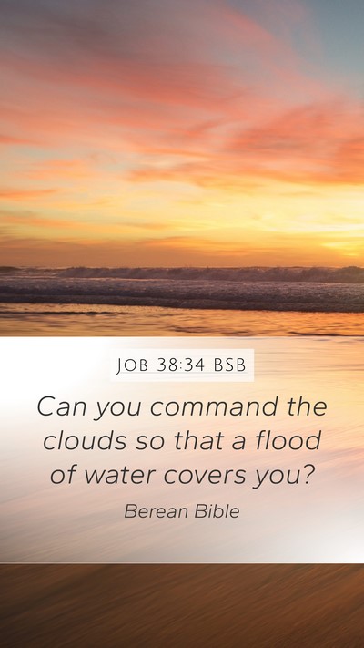 Job 38:34 BSB Bible Verse Image
