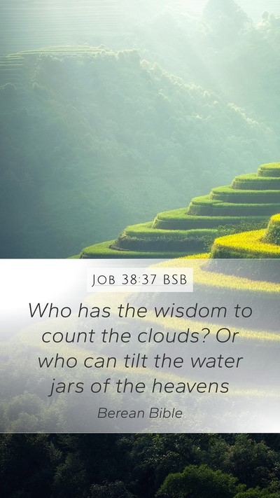 Job 38:37 BSB Bible Verse Image