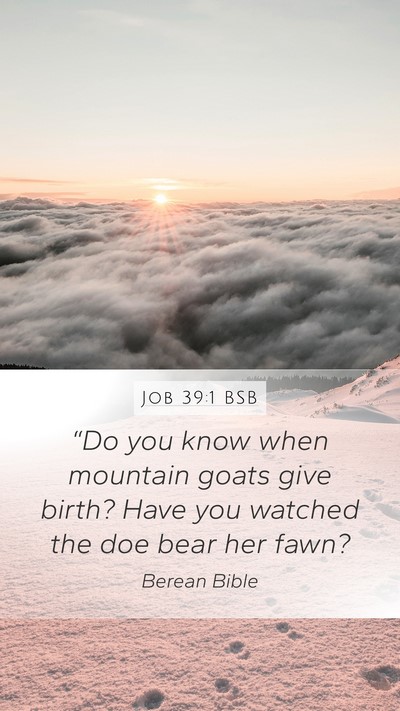 Job 39:1 BSB Bible Verse Image