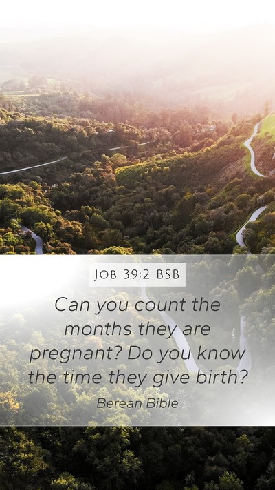 Job 39:2 BSB Mobile Phone Wallpaper - Can you count the months they are pregnant? Do - Mobile Bible Verse Wallpaper