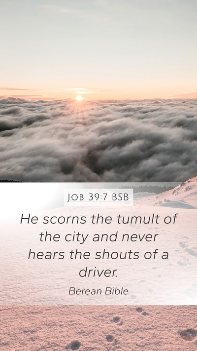 Job 39:7 BSB Bible Verse Image