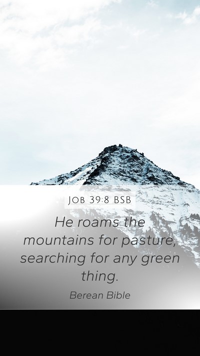 Job 39:8 BSB Bible Verse Image