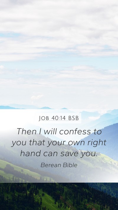 Job 40:14 BSB Bible Verse Image