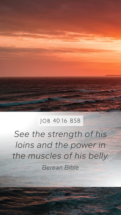 Job 40:16 BSB Bible Verse Image