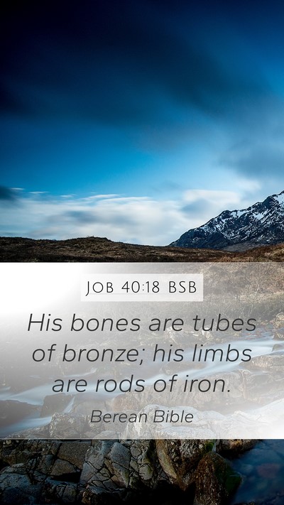 Job 40:18 BSB Bible Verse Image