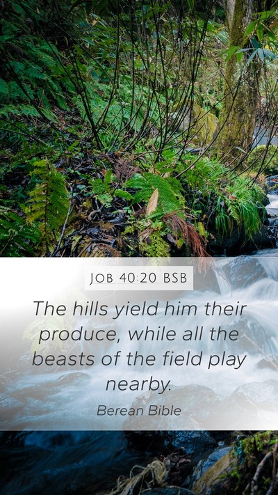 Job 40:20 BSB Bible Verse Image