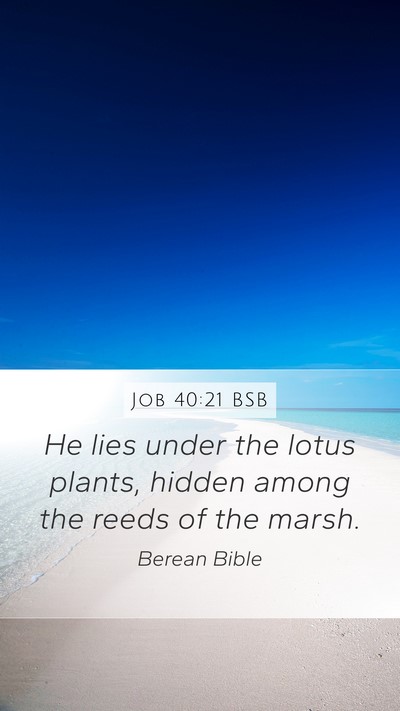 Job 40:21 BSB Bible Verse Image