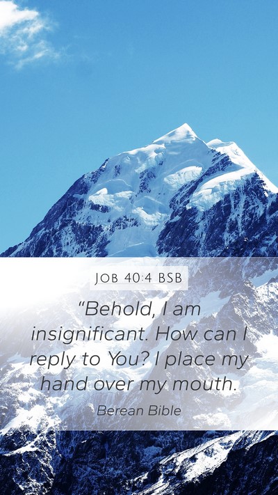 Job 40:4 BSB Bible Verse Image