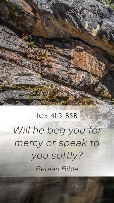 Job 41:3 BSB Mobile Phone Wallpaper - Will he beg you for mercy or speak to you - Mobile Bible Verse Wallpaper