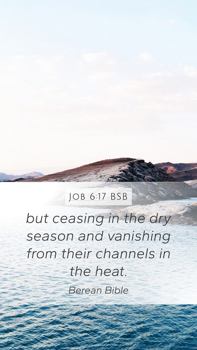 Job 6:17 BSB Bible Verse Image
