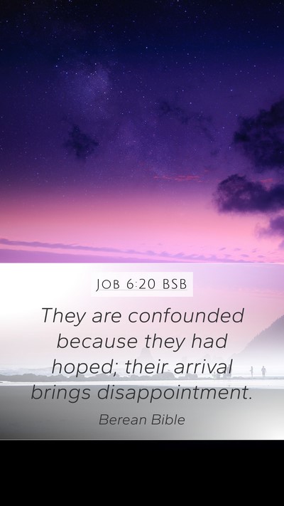 Job 6:20 BSB Bible Verse Image